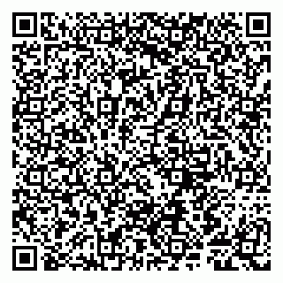 vCard 79807281311