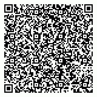 vCard 79807281312