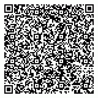vCard 79807281335