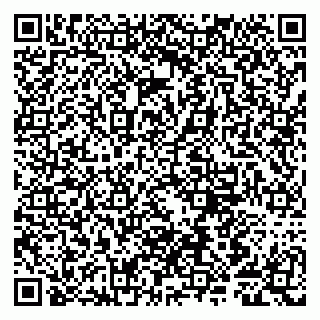 vCard 79807281337
