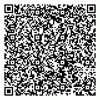 vCard 79807281338