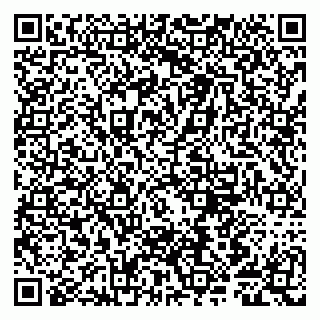 vCard 79807281339
