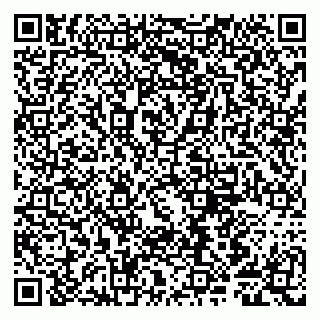 vCard 79807281341