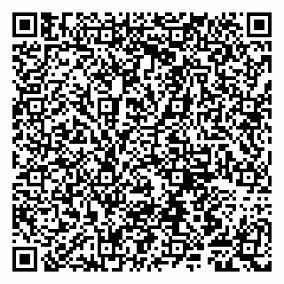 vCard 79807281371