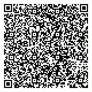 vCard 79807281372