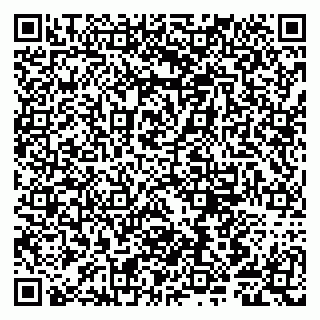 vCard 79807281373