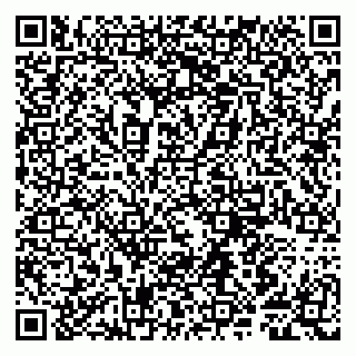 vCard 79807281375