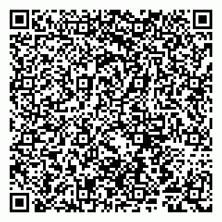 vCard 79807281376