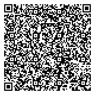 vCard 79807281379