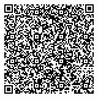 vCard 79807281381