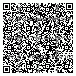 vCard 79807281382