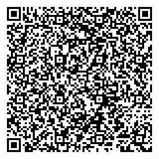 vCard 79807281383