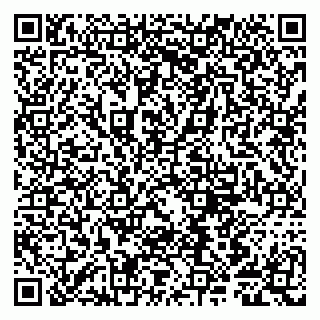 vCard 79807281384