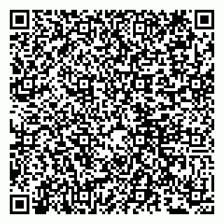 vCard 79807281385