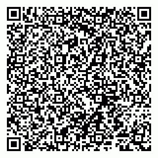 vCard 79807281387