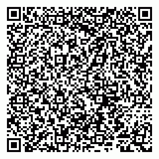 vCard 79807281388