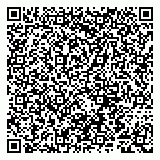 vCard 79807281398