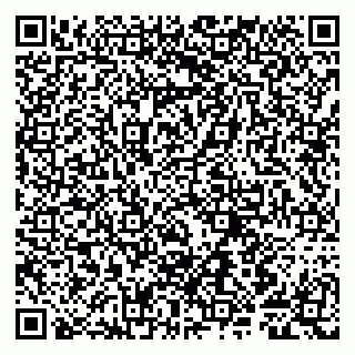 vCard 79807281408
