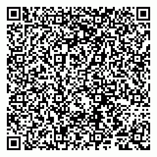 vCard 79807281411