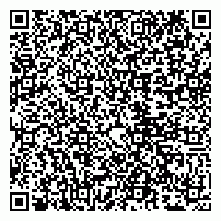 vCard 79807281536