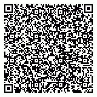 vCard 79807281539