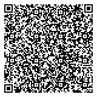 vCard 79807281587