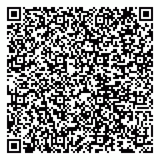 vCard 79807281594