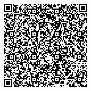 vCard 79807281603