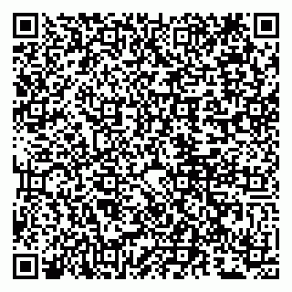 vCard 79807281617