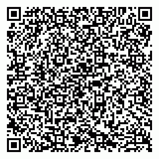 vCard 79807281631