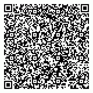 vCard 79807281704