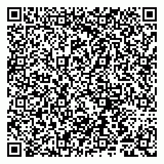 vCard 79807281730