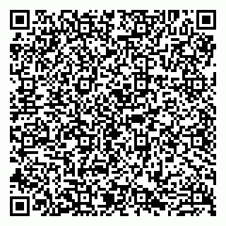 vCard 79807281738