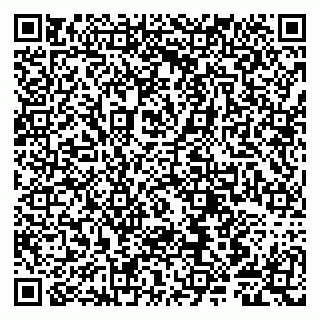 vCard 79807281837