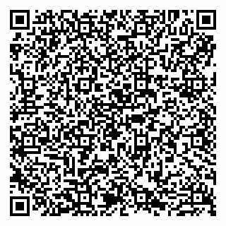 vCard 79807281937