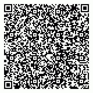 vCard 79807281977
