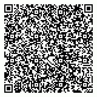 vCard 79807290400