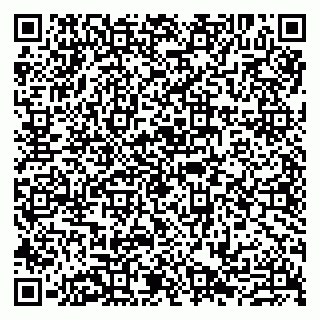 vCard 79807290403