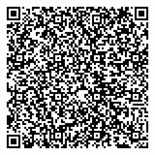 vCard 79807290410