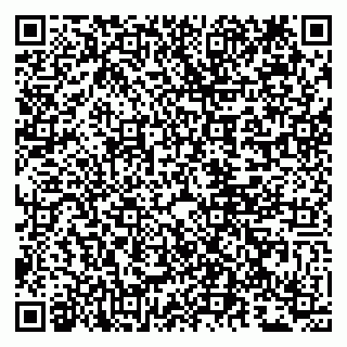 vCard 79807290411