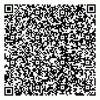 vCard 79807290412