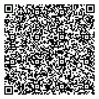vCard 79807290413