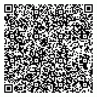 vCard 79807290420