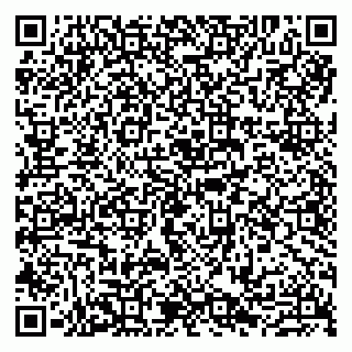 vCard 79807290537