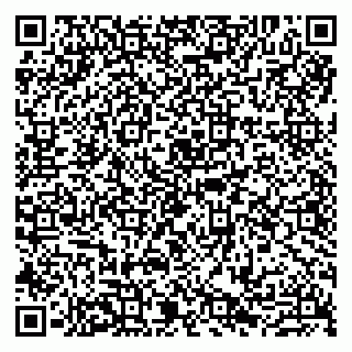 vCard 79807290538