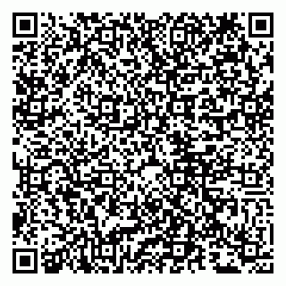 vCard 79807290600