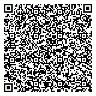 vCard 79807290629