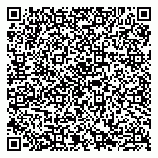vCard 79807290681
