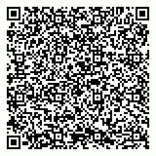 vCard 79807290700