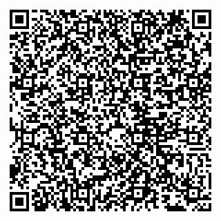 vCard 79807290701